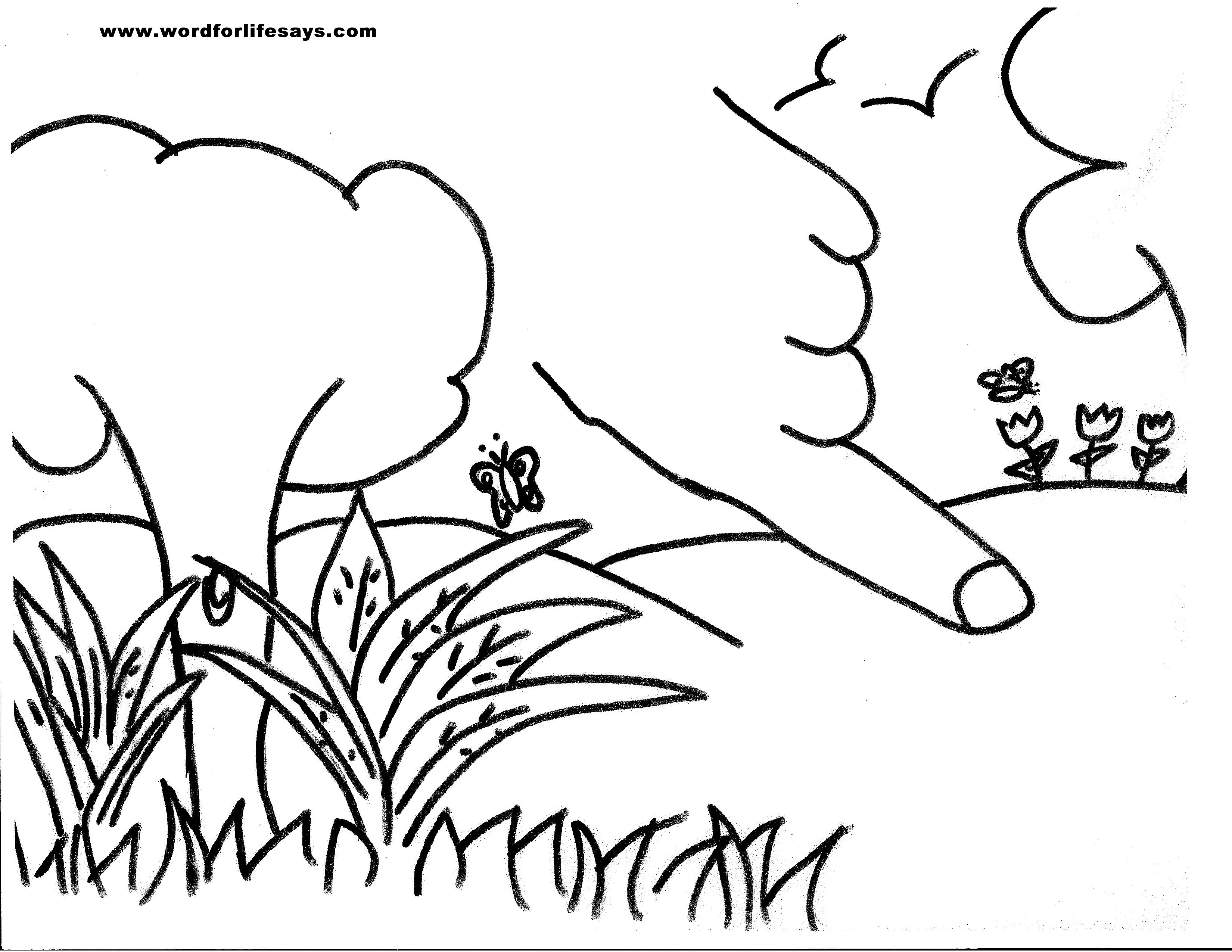 3300x2550 Knowledge Of Good And Sunday School Lesson, Genesis 38 17