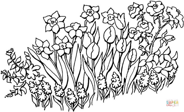 720x438 Flower Garden Coloring Page Flowers In The Garden Coloring Page