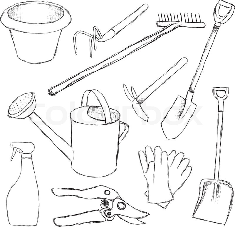 800x774 Garden Tools Stock Vector Colourbox