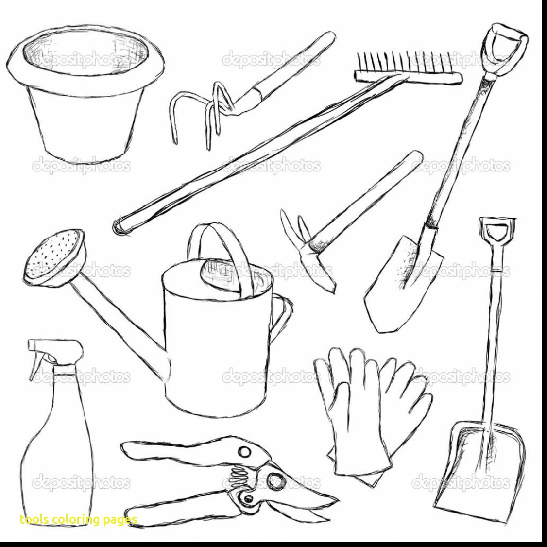 1126x1126 Garden Tools Coloring Sheets