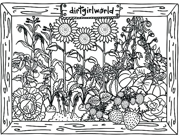 600x462 Gardening Tools Coloring Pages This Is Tool Coloring Pages Images
