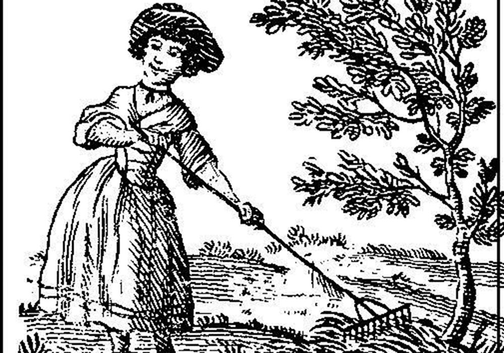 1000x700 Unpaved Roadshow The Dirt On Early Garden Tools Rappahannock News