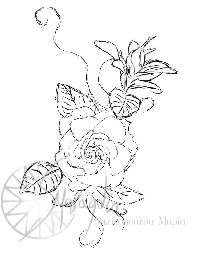 701x904 Gardenia Tattoo By On @