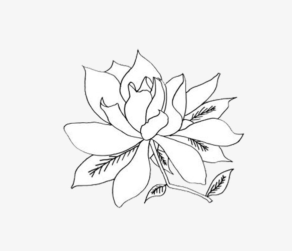 583x501 Gardenia Stick Figure, Gardenia, Flowers, Stick Figure Png Image