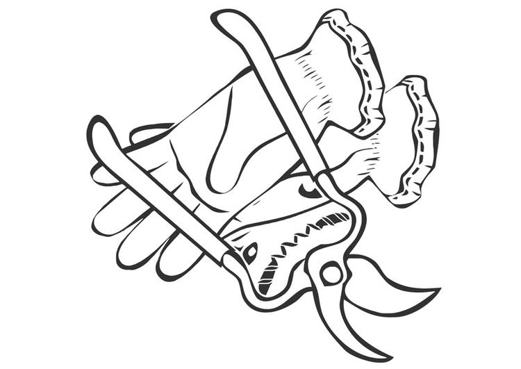 750x531 Coloring Page Pruning Shears And Gardening Gloves