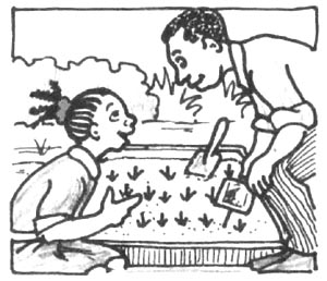 300x258 Setting Up And Running A School Garden