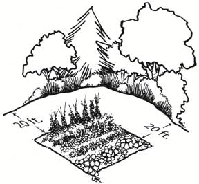 288x266 Vegetable Garden Drawing Ybteale Decorating Clear