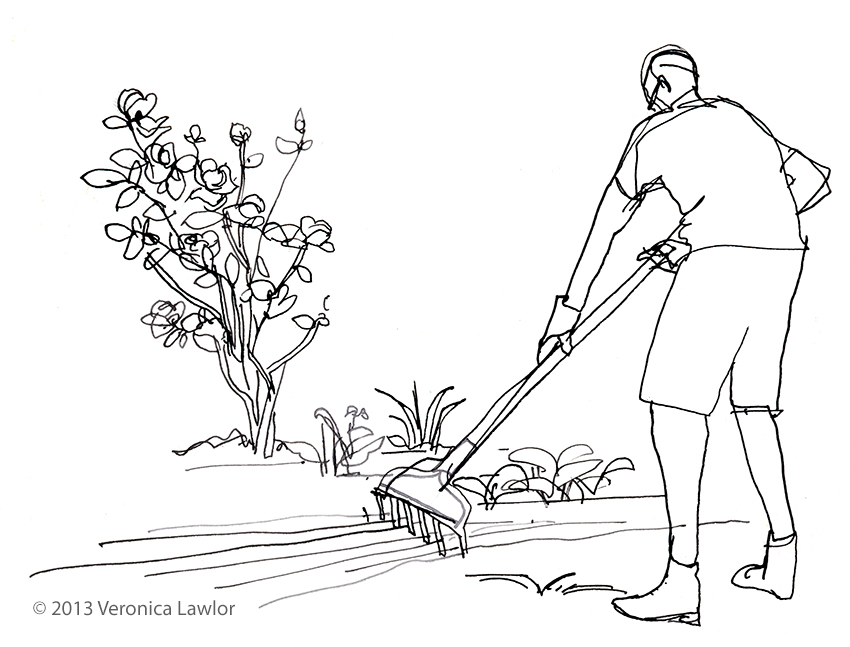 Gardening Drawing_ at GetDrawings | Free download
