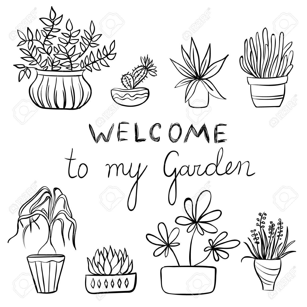 1300x1300 Hand Drawing Set Of Pot Plants With Flowers And Leaves, Gardening