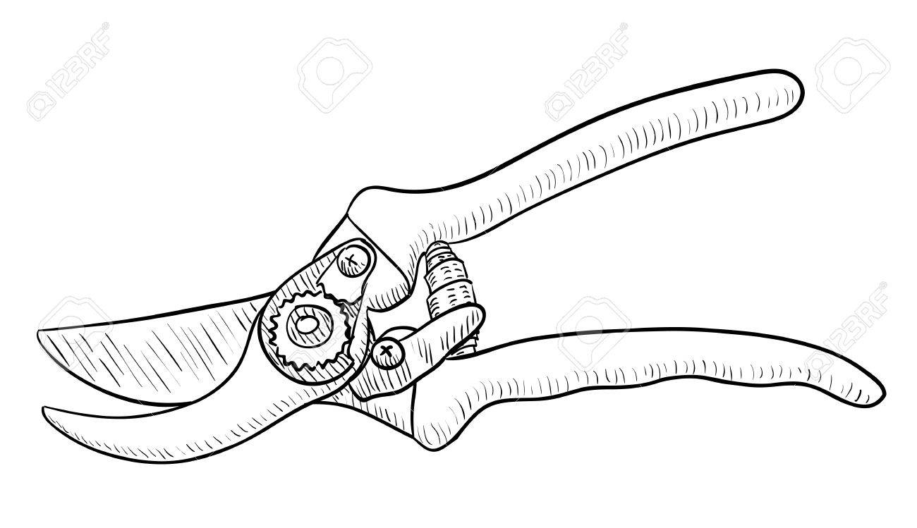1300x749 Pruning Shear, Gardening Tool, Drawing, Vector Illustration