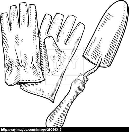 502x512 Gardening Tools Sketch Vector