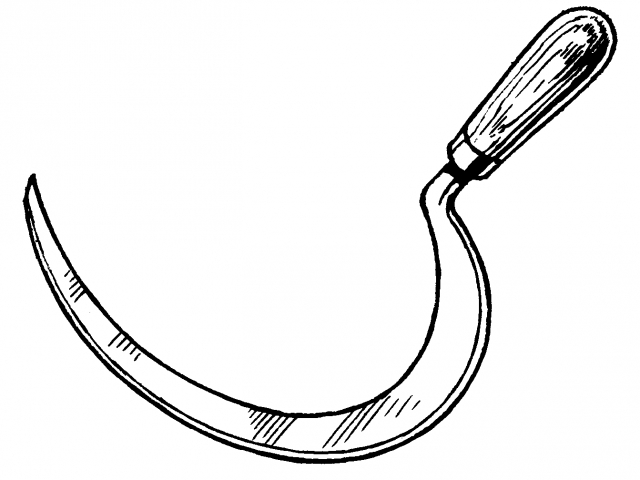 640x480 Can You Recognize All 12 Garden Tools Quizpug