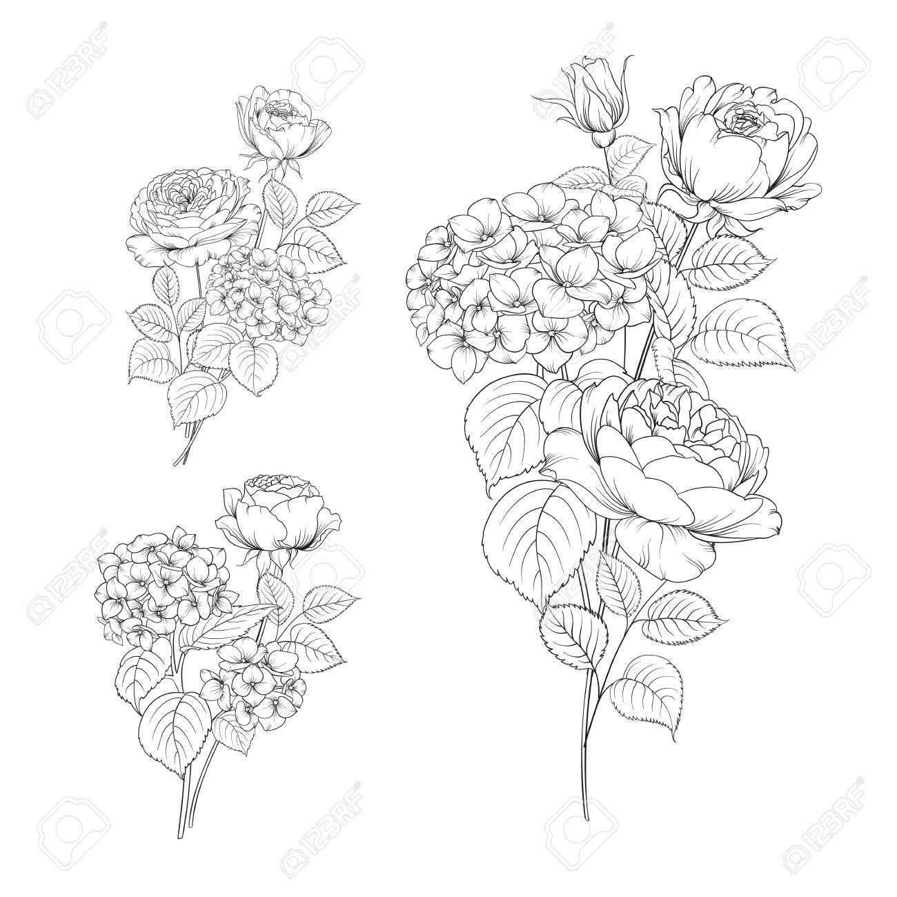 1300x1300 Floral Garland Of Hydrangea And Rose On White Background. Flower
