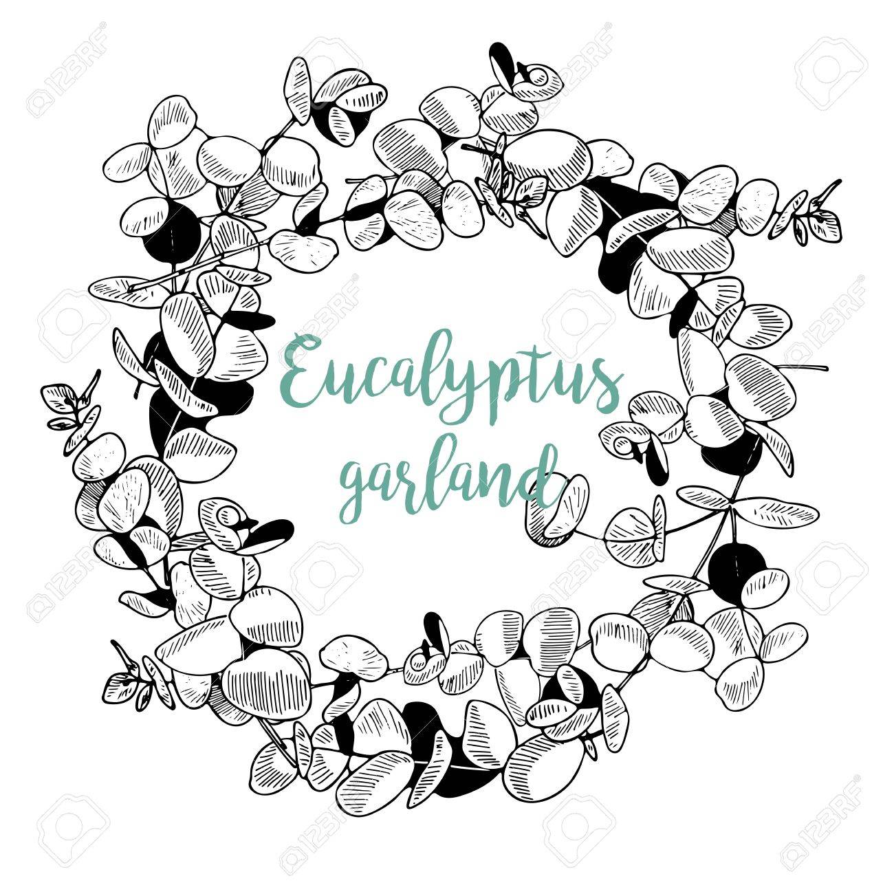 1300x1300 Vector Hand Drawn Garland Of Eucalyptus Branches. Vintage Engraved