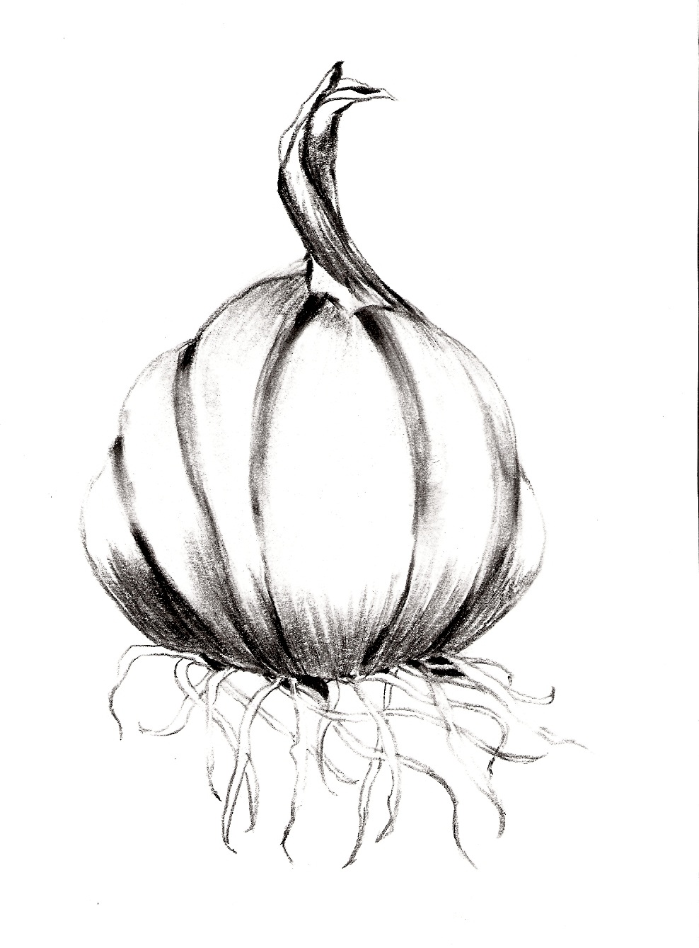 988x1339 New Drawings! Carol Taylor's Blog