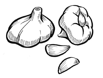 339x257 Vampire Combat Manual Garlic
