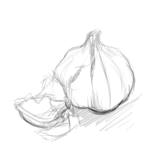 562x562 Czosnek 1.jpg