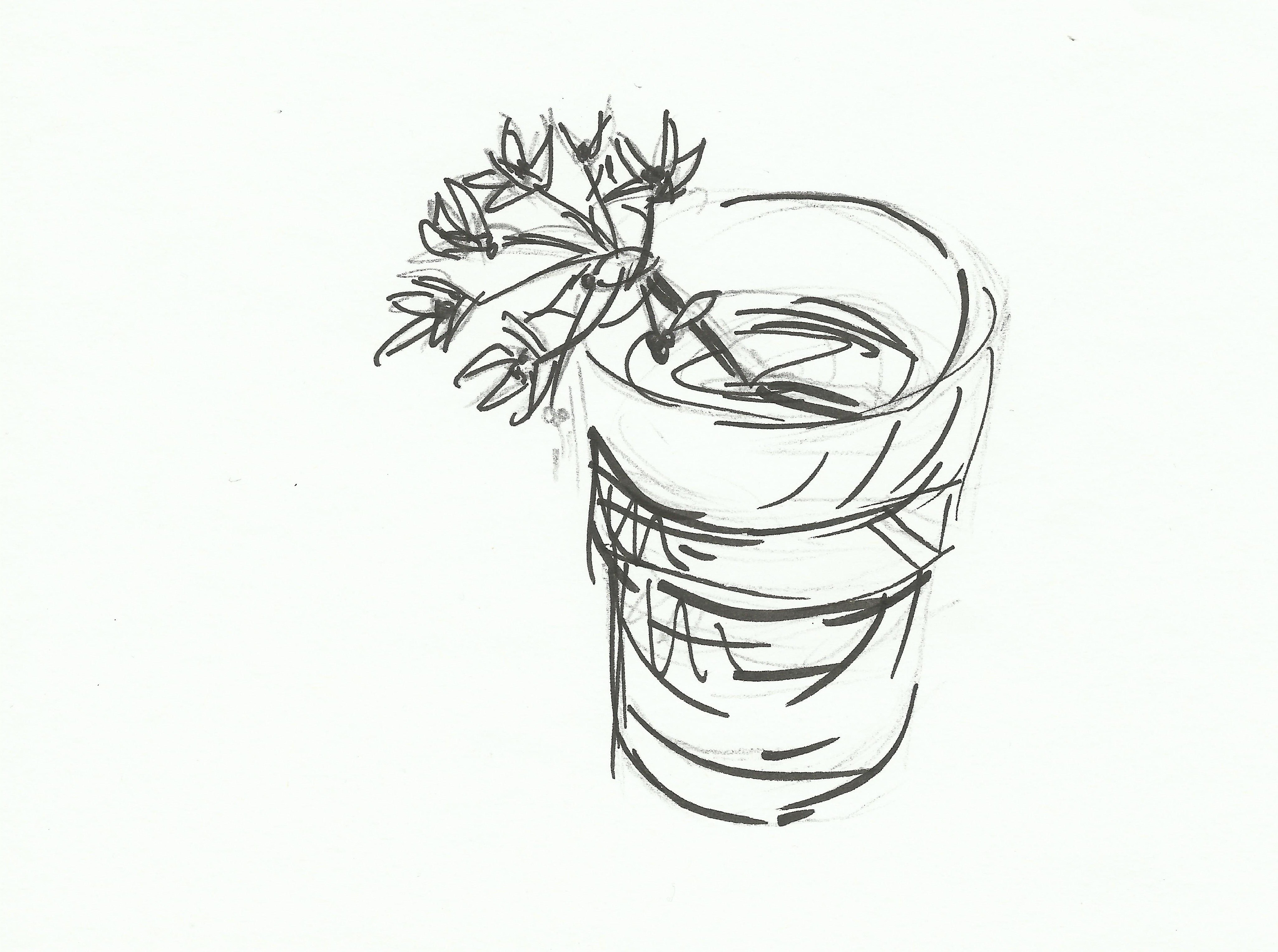 4106x3060 Wild Garlic Tangerine Drawings