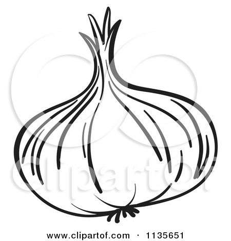 450x470 Cartoon Of A Black And White Garlic Bulb