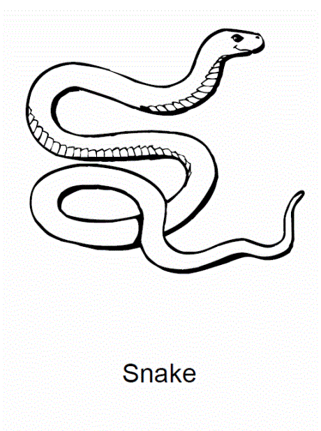 460x618 Garter Snake Coloring Page