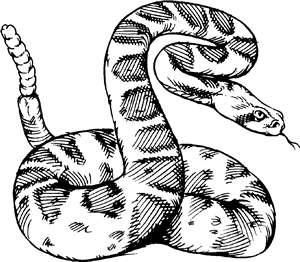 300x262 Snake