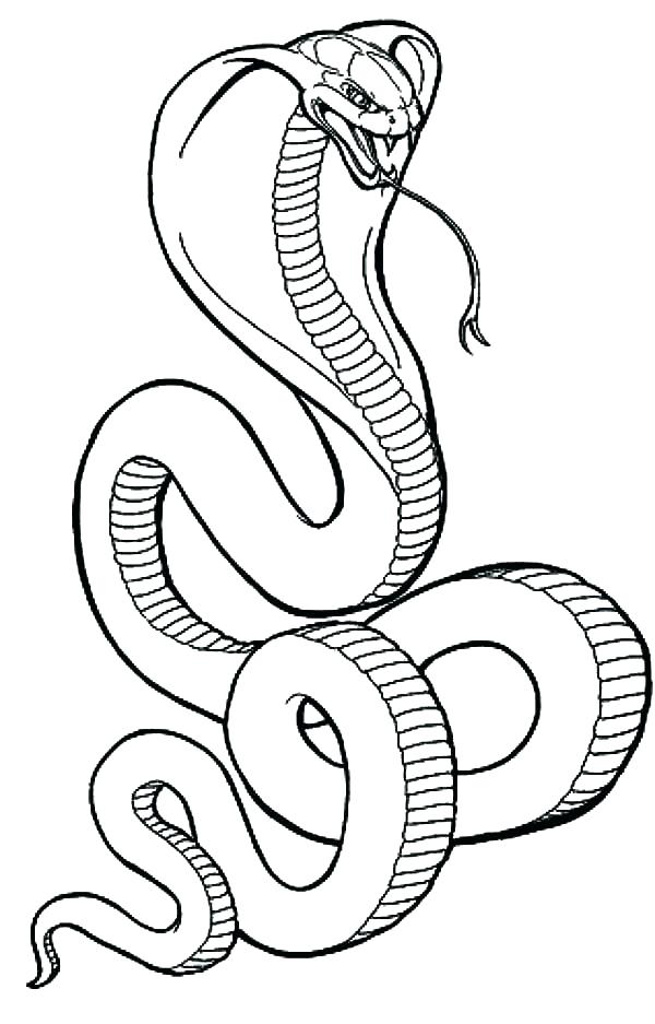 600x937 Trend Coloring Pages Snakes Fee Page Snake Tiger Of Garter Colo