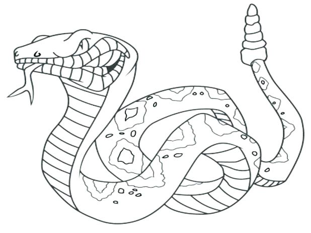 618x464 Coloring Page Snake