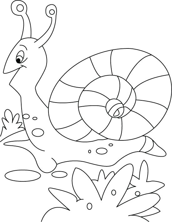 550x710 Snail Coloring Pages Drawing Snail Coloring Pages Gary
