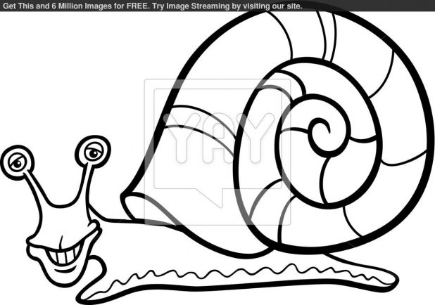 618x434 Adult Snail Colouring Pages Snail Coloring Pages For Preschool