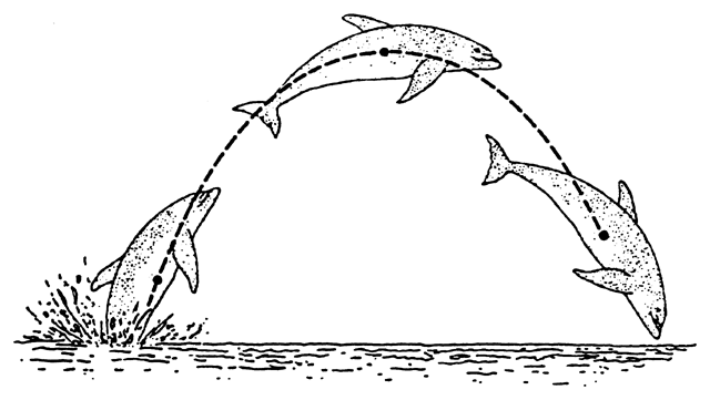 640x361 St. Louis Arch By Jewelia Hutton