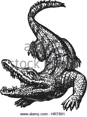 300x400 Sketch Of Tattoo Art, Monster Stock Photo, Royalty Free Image