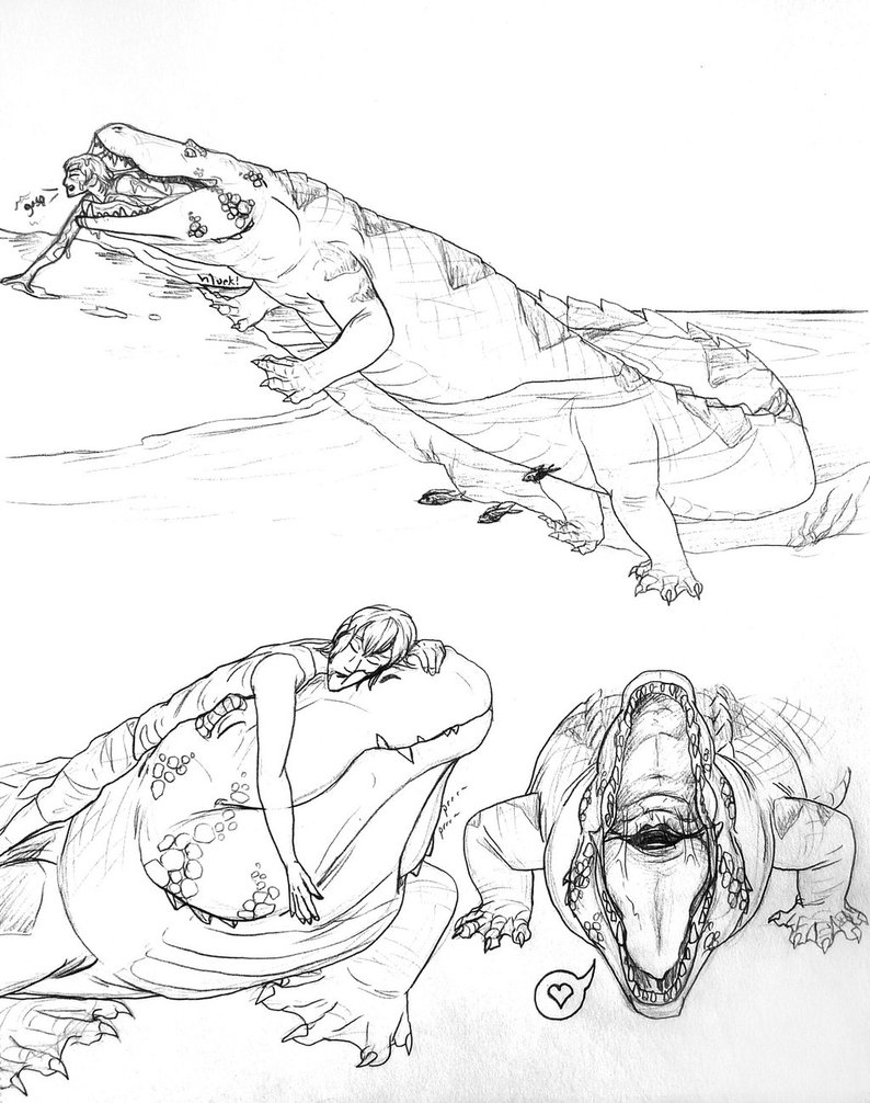 794x1006 Spoder Gator Sketches [Endorelease] By Spidersvore