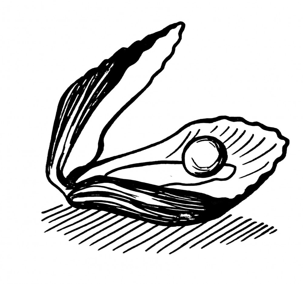 1000x938 The Joy Of Oysters