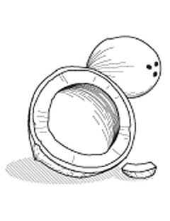 240x312 Coconut Water