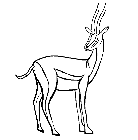 554x565 Gazelle Coloring Pages For School