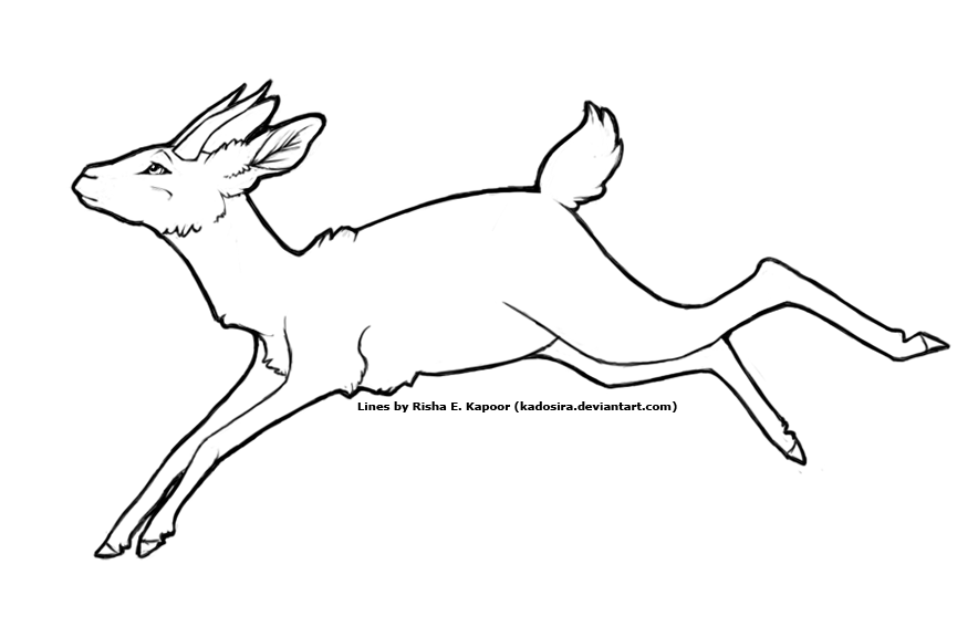 884x567 Gazelle Template By Kadosira