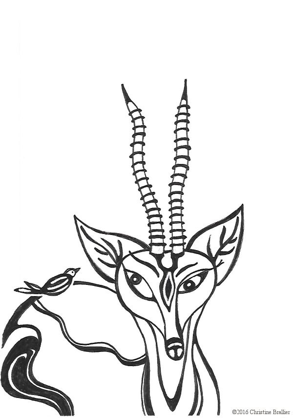 602x854 The World's Best Photos Of Gazelle And Illustration