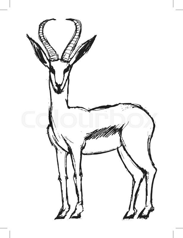 616x800 Gazelle, Illustration Of Wildlife, African, Safari, Zoo, Mammal