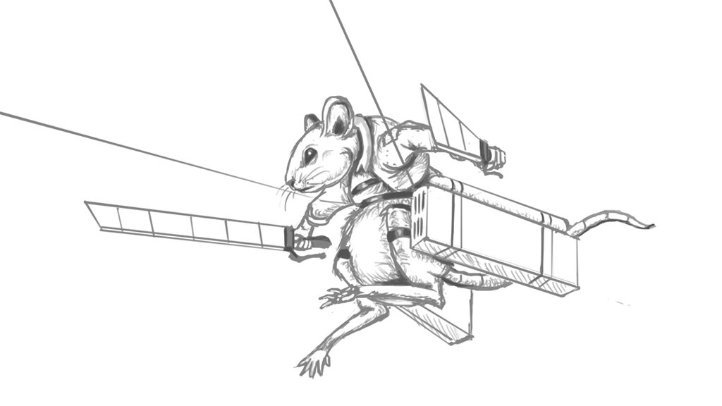 1024x576 Sketch Mouse With 3d Maneuver Gear By Cicakkia