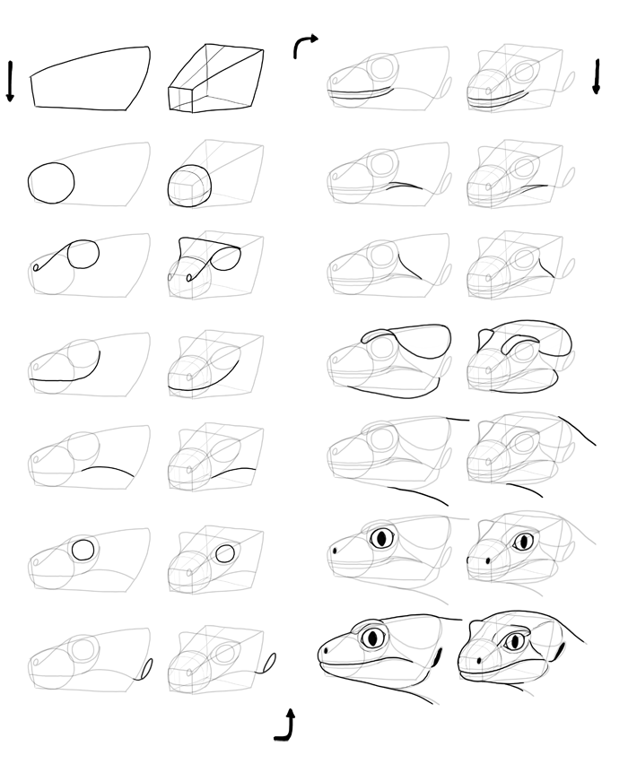 700x852 How To Draw Lizards (Aka Real Life Dragons)