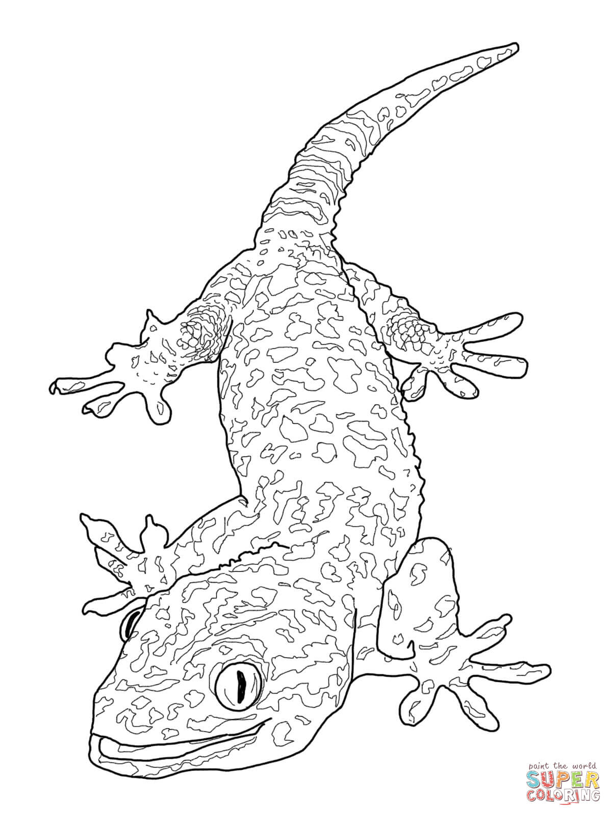 1200x1600 Tokay Gecko Coloring Page Free Printable Coloring Pages