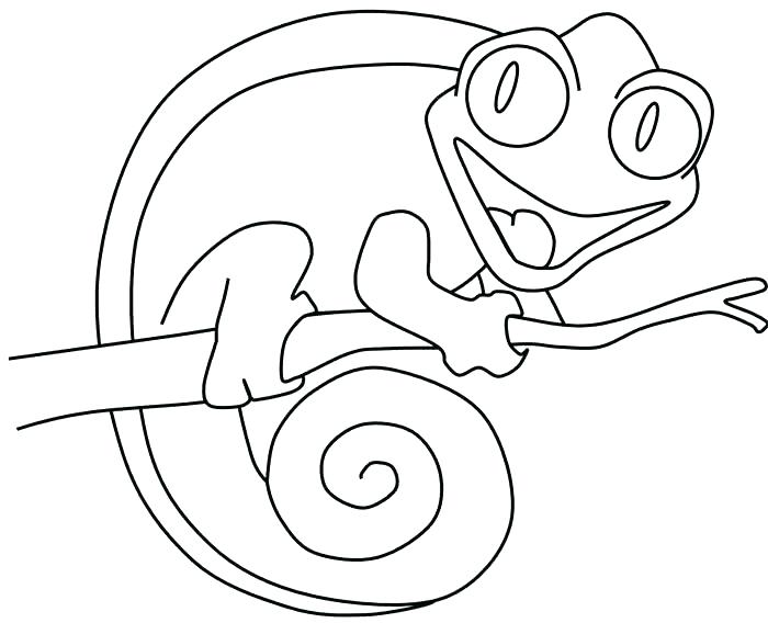 700x568 Lizard Coloring Pages Coloring Pages Gecko Lizards Reptile Lizard