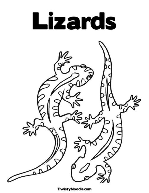 503x650 Reptile Coloring Pages 2 Nice Coloring Pages For Kids