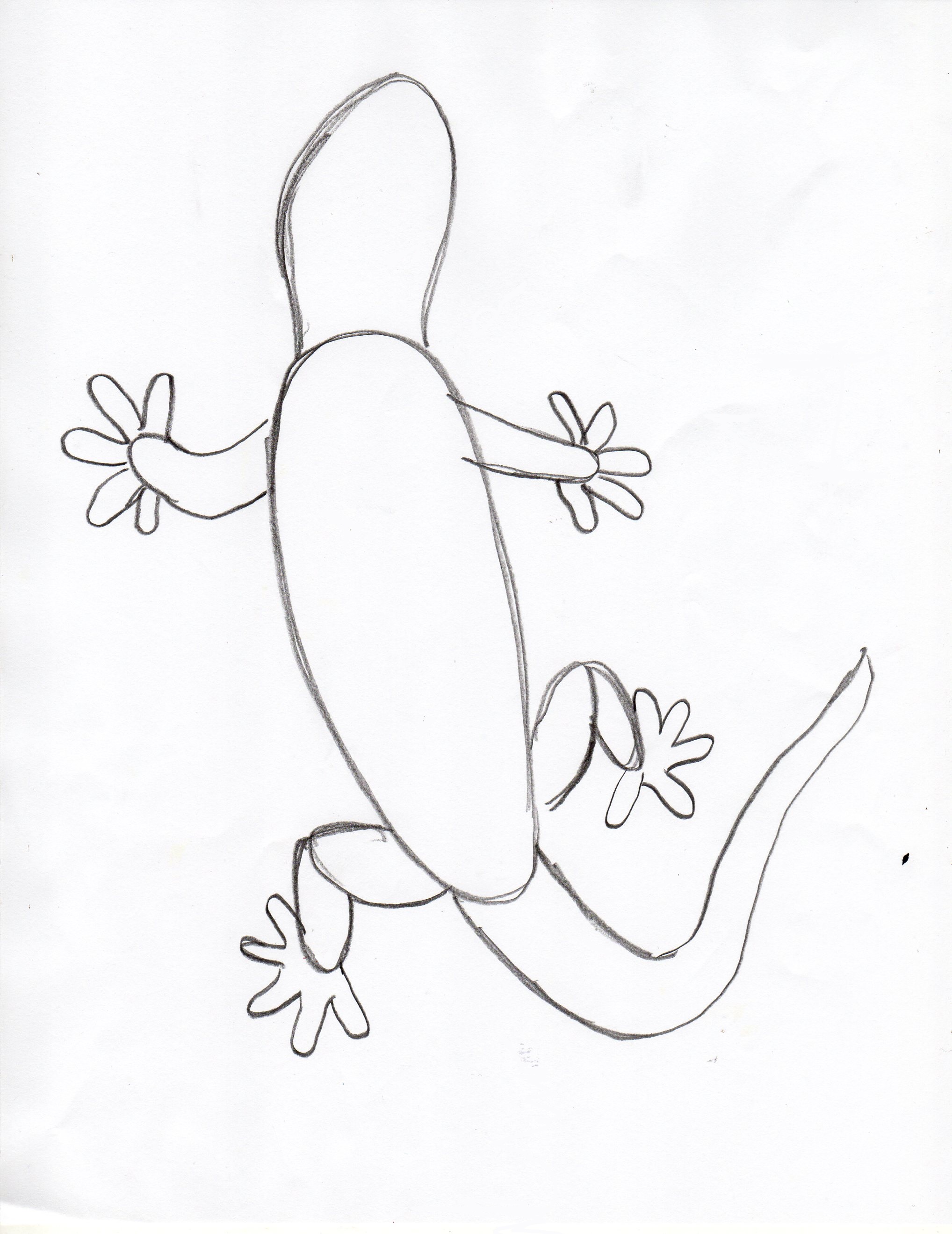 2036x2639 Draw A Gecko Step By Step