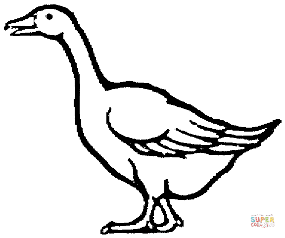 576x481 Gooses Coloring Pages Free Coloring Pages