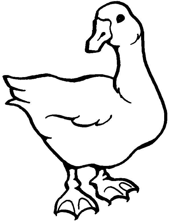 600x774 Awesome Goose Drawing Coloring Page