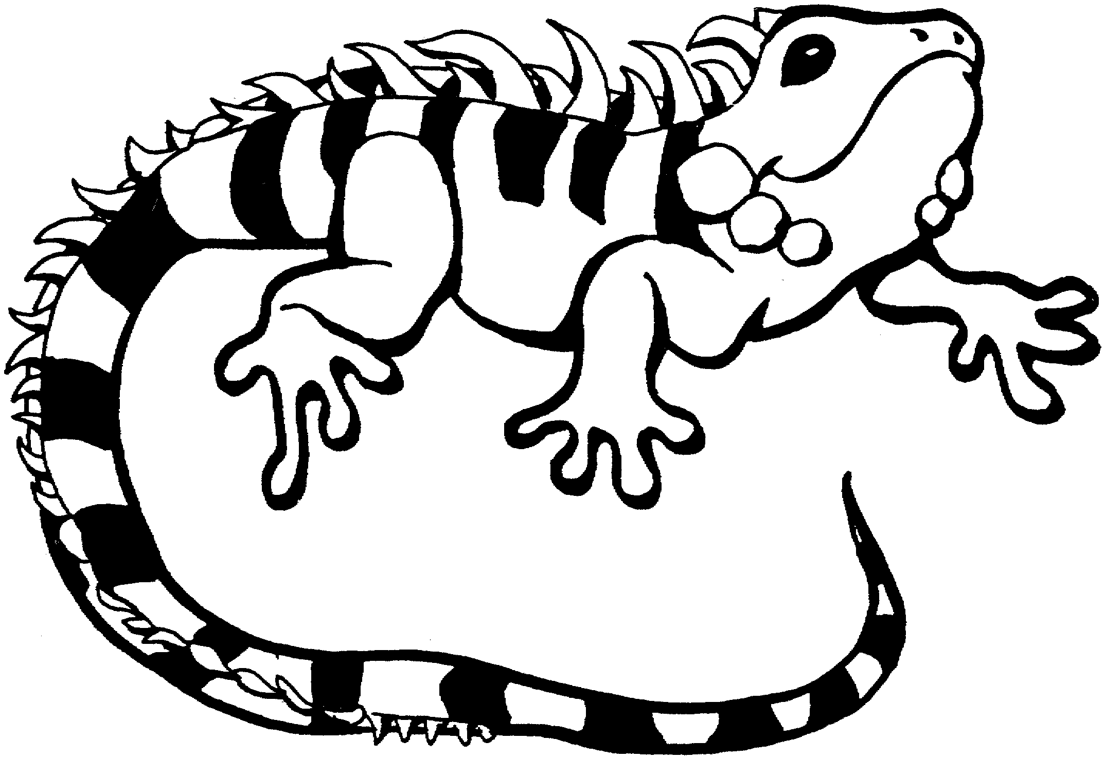 2148x1477 Gecko Coloring Book Horse Colors