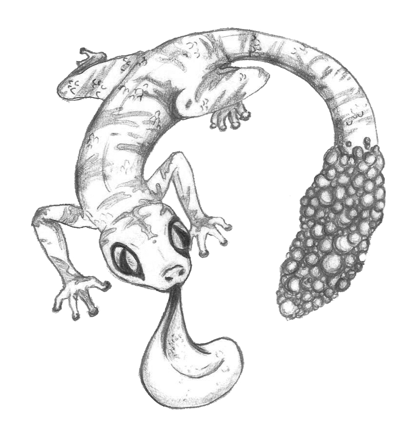 815x870 The Gecko By Squirrelgirl15