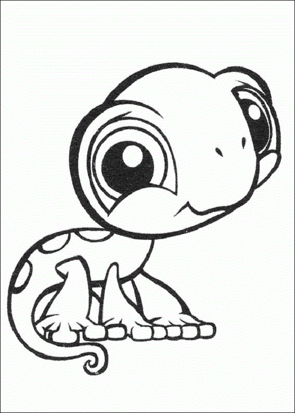 600x840 Baby Lizard Coloring Pages Coloring Kids Baby Lizards