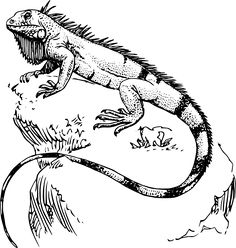 236x248 Lizard Tattoo Designs New Small Lizard Tattoo Design Amazing